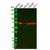 recombinant sesn1 antibody (c09-0742-674)
