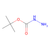 tert-butyl carbazate (c09-0745-468)