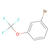 1-bromo-3-(trifluoromethoxy)benzene (c09-0748-997)