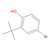 4-bromo-2-tert-butylphenol (c09-0758-147)