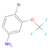 4-bromo-3-trifluoromethoxy-phenylamine (c09-0759-936)