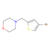 4-[(4-bromothien-2-yl)methyl]morpholine