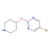 5-bromo-2-(piperidin-4-yloxy)pyrimidine (c09-0769-217)