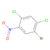 1-bromo-2,4-dichloro-5-nitrobenzene (c09-0773-523)