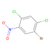 1-bromo-2,4-dichloro-5-nitrobenzene (c09-0773-526)