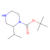 1-boc-2-isopropylpiperazine (c09-0774-158)