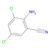 2-amino-3,5-dichlorobenzonitrile (c09-0778-306)