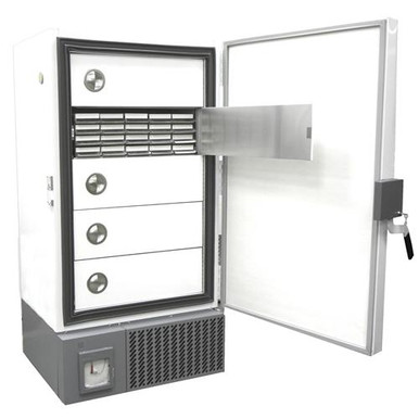 Cell Divider 9X9 Grid 1 Ea