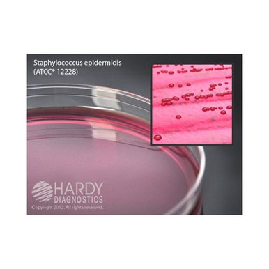 Mannitol Salt Agar (Msa) For Staphylococcus 15X100Mm Plate