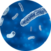 Microorganisms