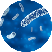 Microorganisms