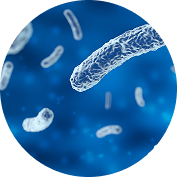 Microorganisms