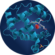 Proteins & Enzymes