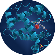 Proteins & Enzymes