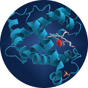Proteins & Enzymes