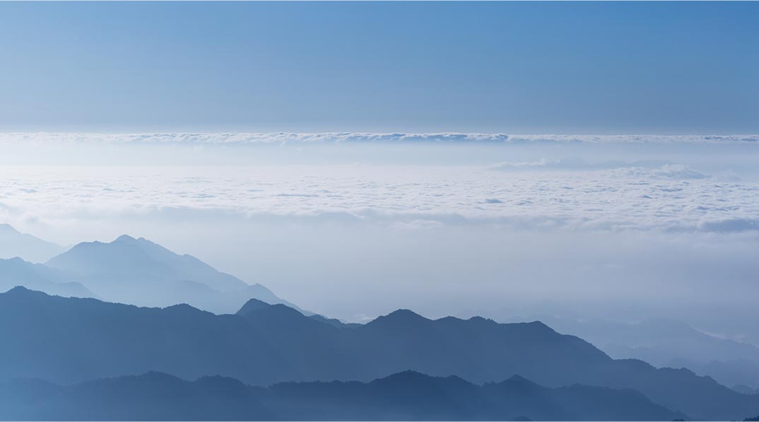 SUSTAINABILITY IN ACTION