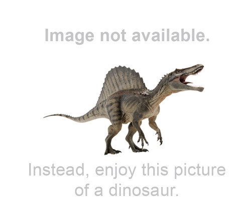 JVCKENWOOD FUSE (10A)