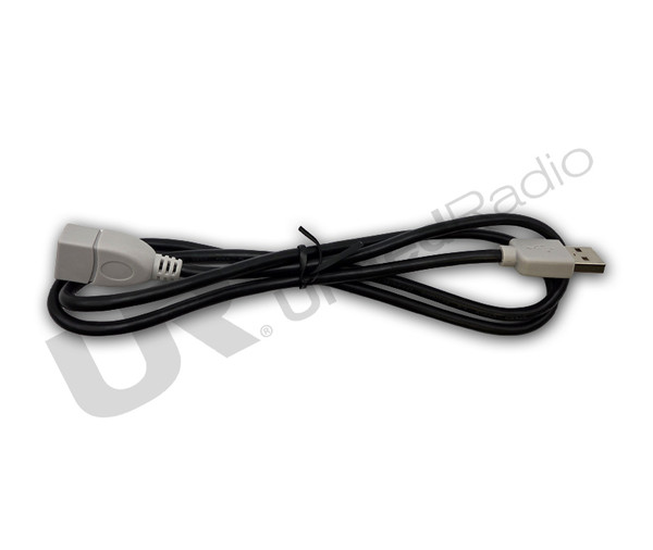 JVCKENWOOD USB CORD (GRAY)