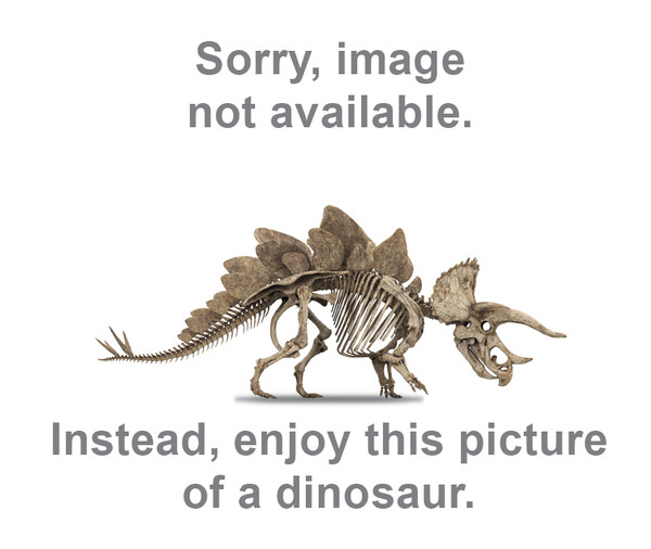 NLA-CD MECH
