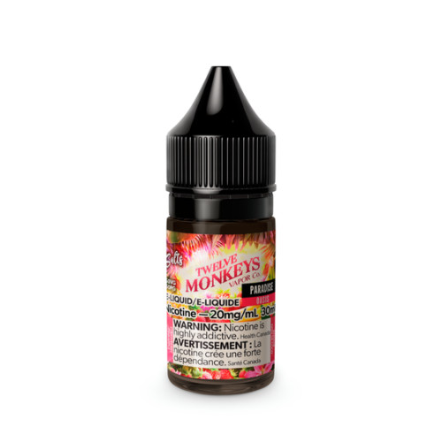 Twelve Monkeys Salt Paradise 20mg