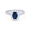SAPPH09749