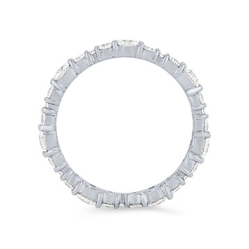 BLDXL12439-U
