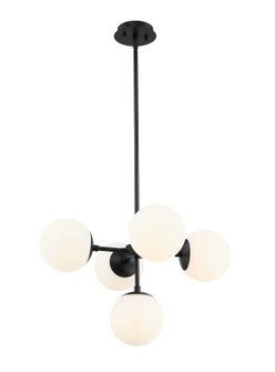 Midnetic Five Light Pendant in Matte Black (224|7305MB)