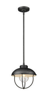 Ansel One Light Outdoor Pendant in Black (224|590PBK)