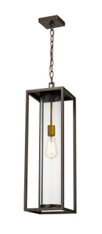 Dunbroch One Light Outdoor Chain Mount Ceiling Fixture in Deep Bronze + Outdoor Brass (224|584CHBDBZOBS)