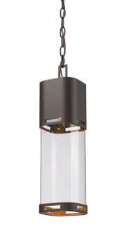 Lestat LED Outdoor Chain Mount Ceiling Fixture in Deep Bronze (224|562CHBDBZLED)