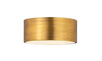 Harley Two Light Flush Mount in Rubbed Brass (224|2302F2RB)
