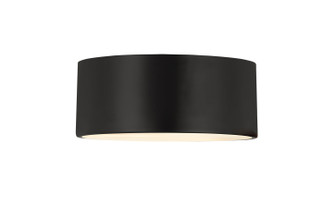 Harley Two Light Flush Mount in Matte Black (224|2302F2MB)
