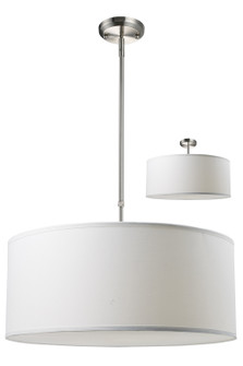 Albion Three Light Pendant in Brushed Nickel (224|17124WC)