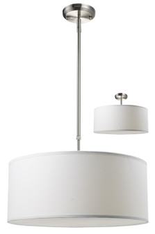 Albion Three Light Pendant in Brushed Nickel (224|17120WC)
