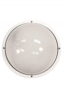 Nautical One Light Wall/Ceiling Mount in White (301|S791WFWH)