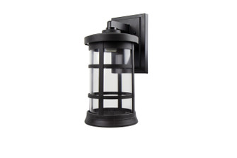 Artisan One Light Wall Mount in Black (301|S50VCBK)