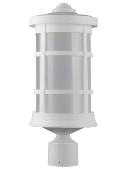 Exterior - Post Lanterns (301|S50TFLR12CWH)