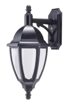 Everstone LED One Light Lantern in Blackstone (301|S11VFLR12WBK)