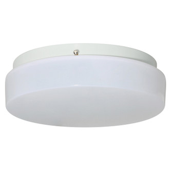 Noelani LED Flush Mount in White (301|162FMLR22CWH)