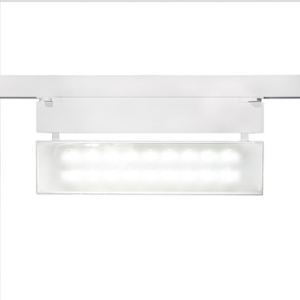 Wall Wash 42 LED Track Fixture in White (34|WTKLED42W27WT)