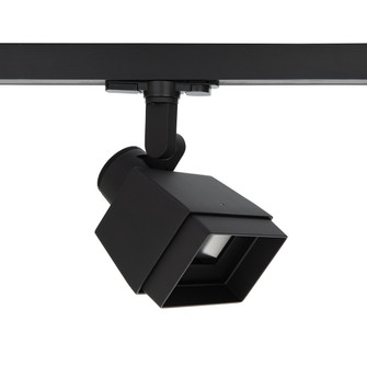 Adjustable Beam Wall Wash LED Wall Wash Track Head in Black (34|WTK5028W935BK)