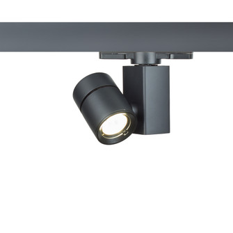 Exterminator Ii- 1014 LED Track Head in Black (34|WTK1014S927BK)