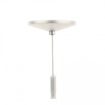 W Track Sloped Ceiling Cable Kit in Platinum (34|WMSTXS48PT)