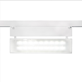 Wall Wash 42 LED Track Fixture in White (34|WHKLED42W27WT)