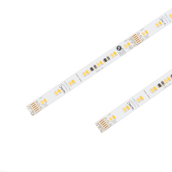 Invisiled Dim To Warm LED Tape Light in WHITE (34|T24WD3051835WT)