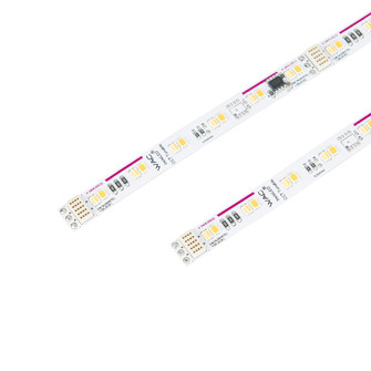 Invisiled Tunable White LED Tape in WHITE (34|T24TW3151850WT)