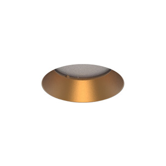 Aether Atomic Downlight Trimless in Gold (34|R1ARDLGL)