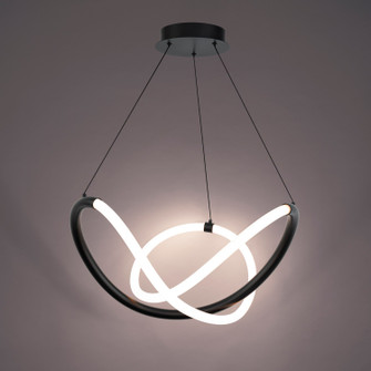 Solo LED Pendant in Black (34|PD19324BK)