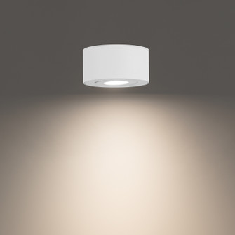 Peek LED Outdoor Flush Mount in White (34|FMW4520535WT)