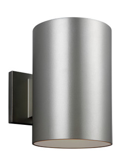 Outdoor Cylinders One Light Outdoor Wall Lantern in Painted Brushed Nickel (454|8313901EN3753)
